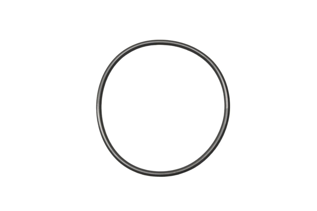 Servo Seal/O-Ring for Ford (D4ZZ-7423-A)