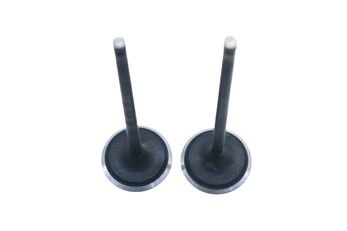 2X SBI 10541 Valves for