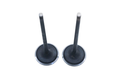 2X SBI 10541 Valves for