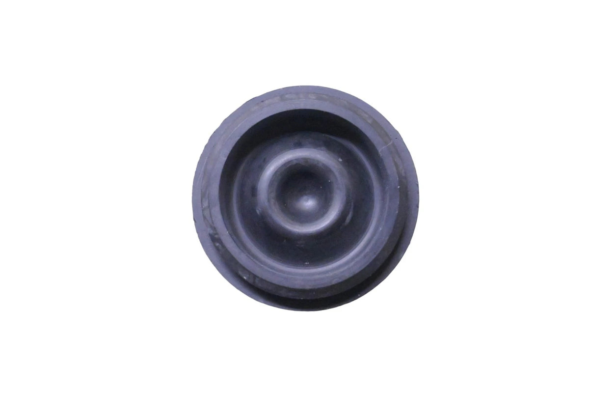 Axle E-Z Lube Plug for Dexter K71-320-00, 85-1, 085-001-00