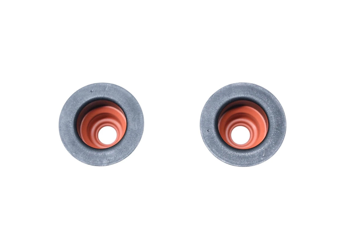 2X Valve Stem Seals for Ford (F6AZ-6571-AA)