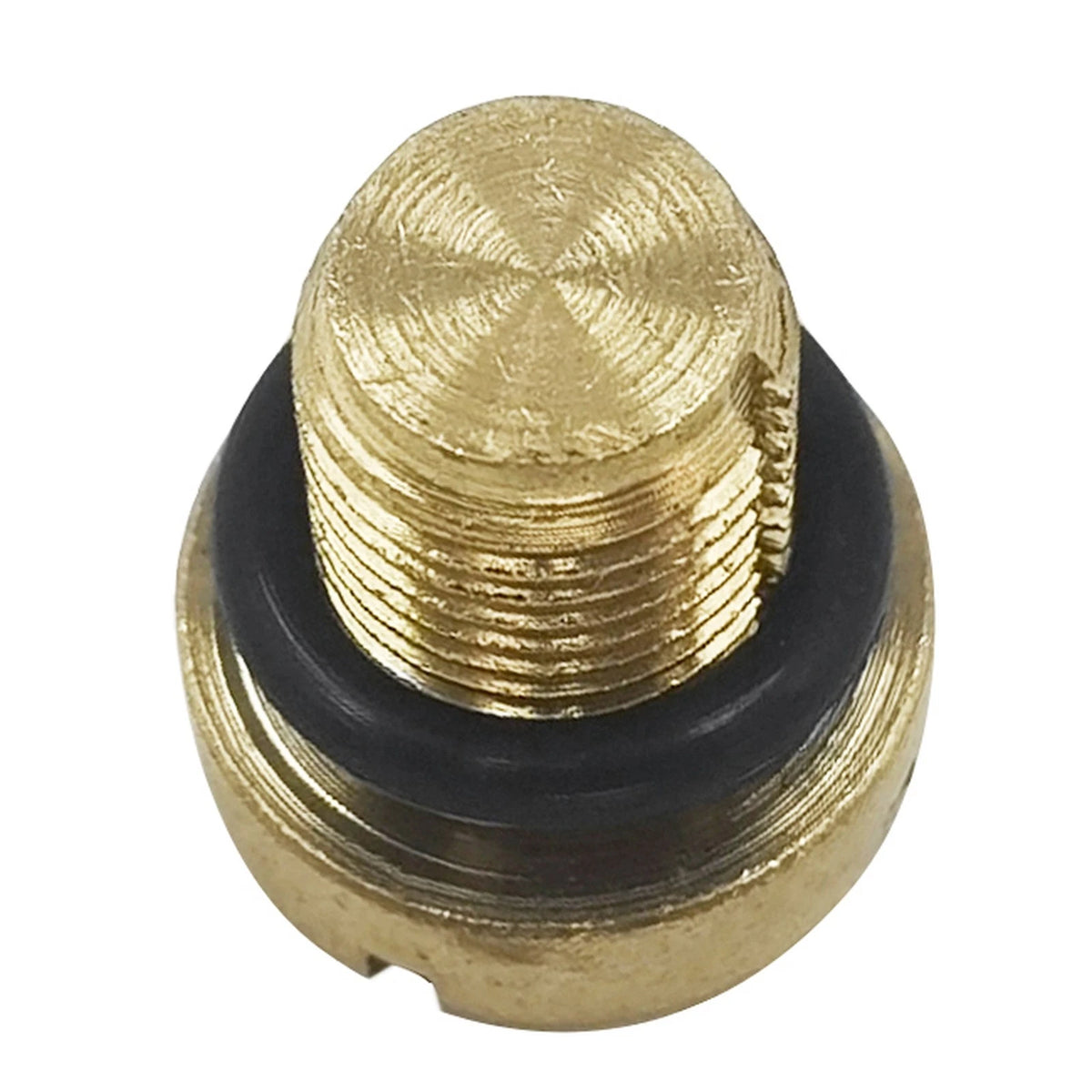 Radiator Expansion Cooling Bottle Tank Screw for BMW (17111712788)