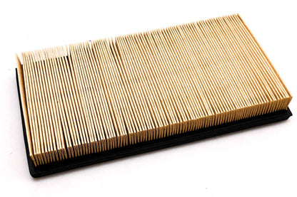Hastings AF880 Air Filter for