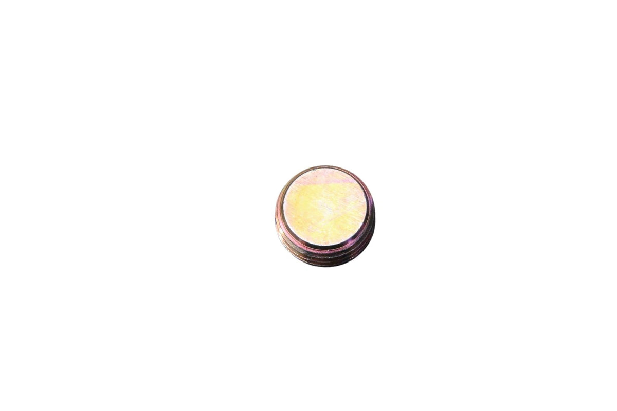 OEM Plug for Ford (E7HZ-6026-H)