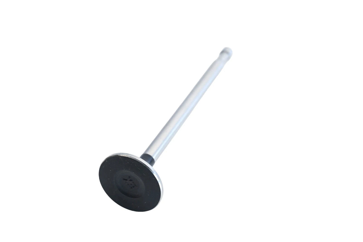 Exhaust Valve for Vera (NOS)
