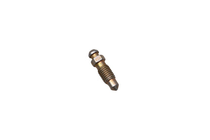 Bleeder Screw for Ford (C0DZ-2208-A)