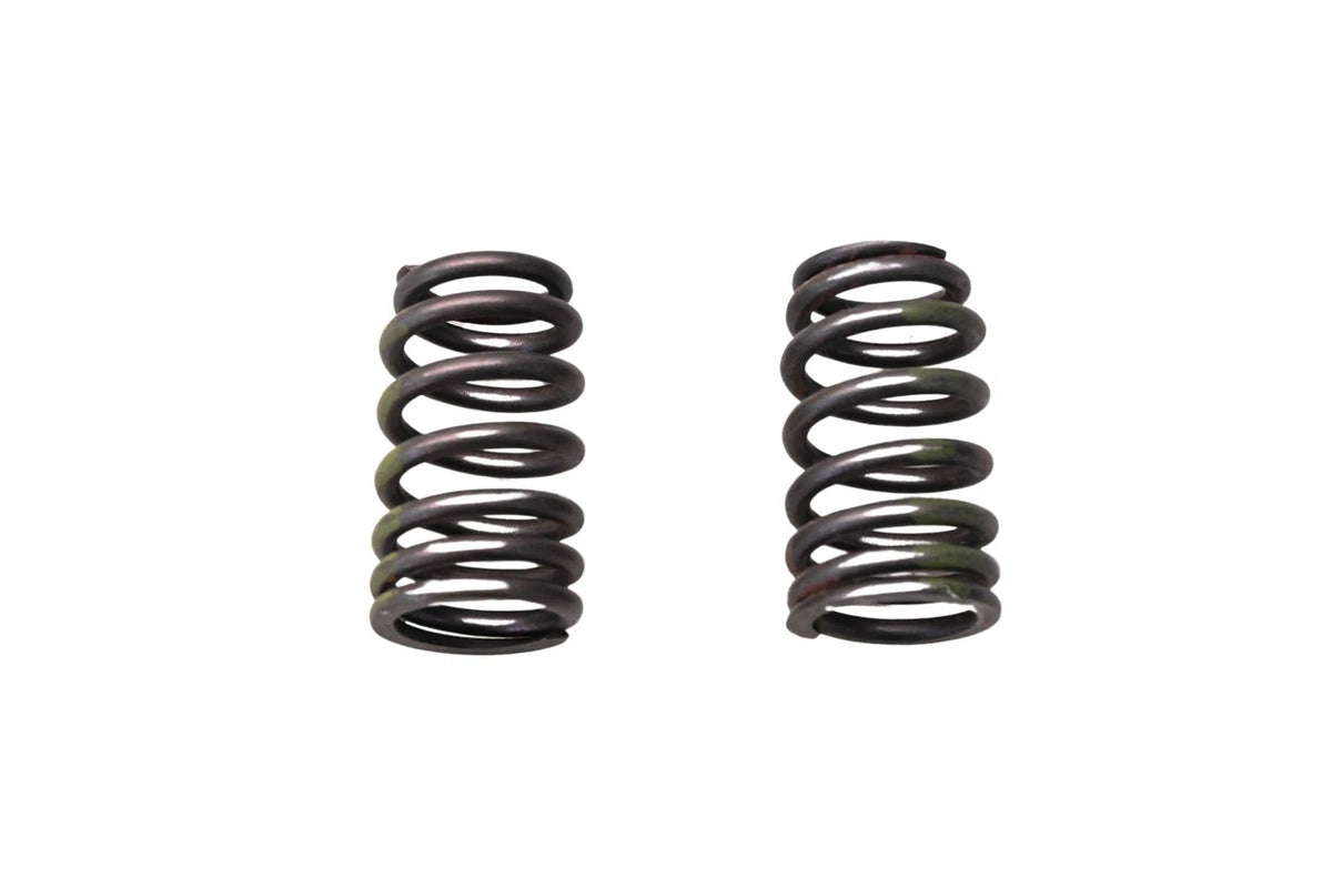 2X Intake Springs for Ford (F5RZ-6513-A)