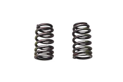 2X Intake Springs for Ford (F5RZ-6513-A)