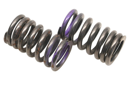 2X Engine Valve Springs for Ford (F0CZ-6513-A)