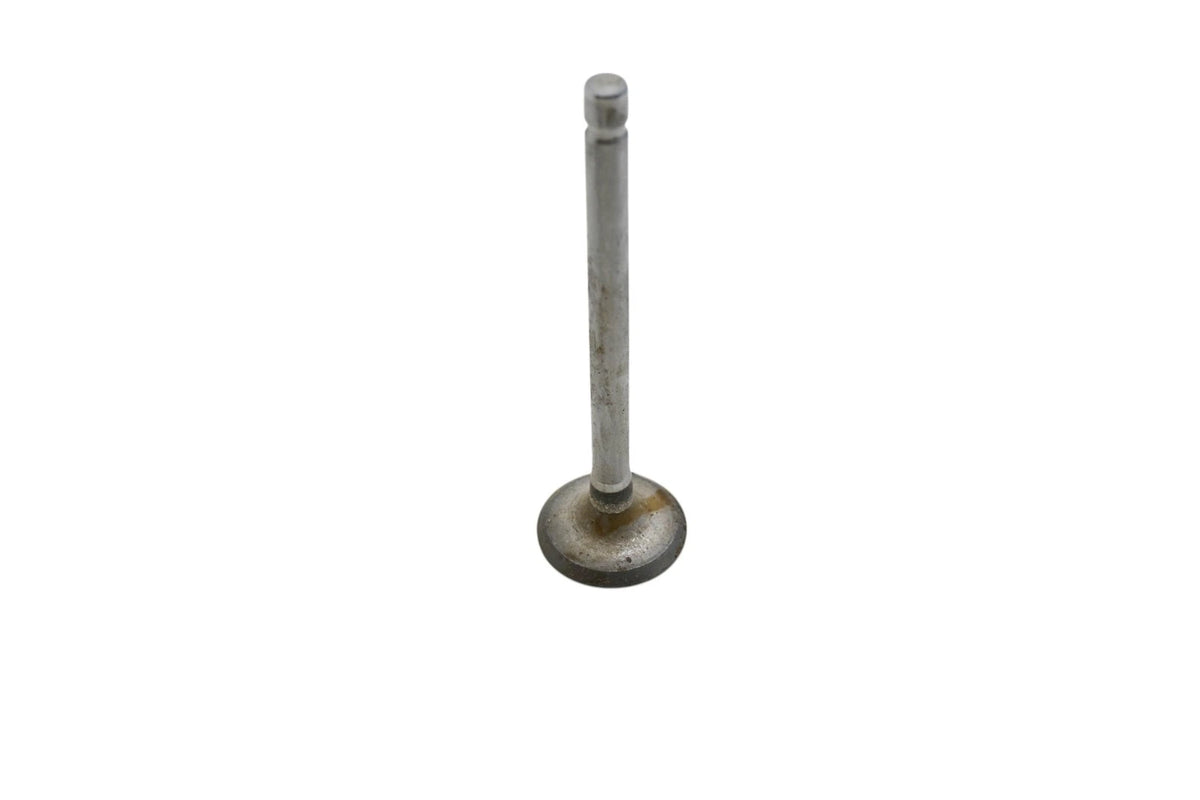 OEM Engine Exhaust Valve for Ford (D4TZ-6505-A)