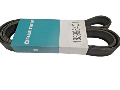 Serpentine V-Belt 8PK1787 for Fleetrite (1839964C1)