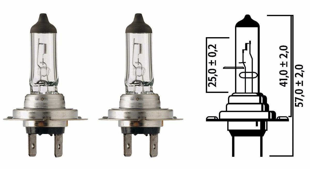2 H7 12V 55W Long Life Halogen Head Light Bulbs for Flosser