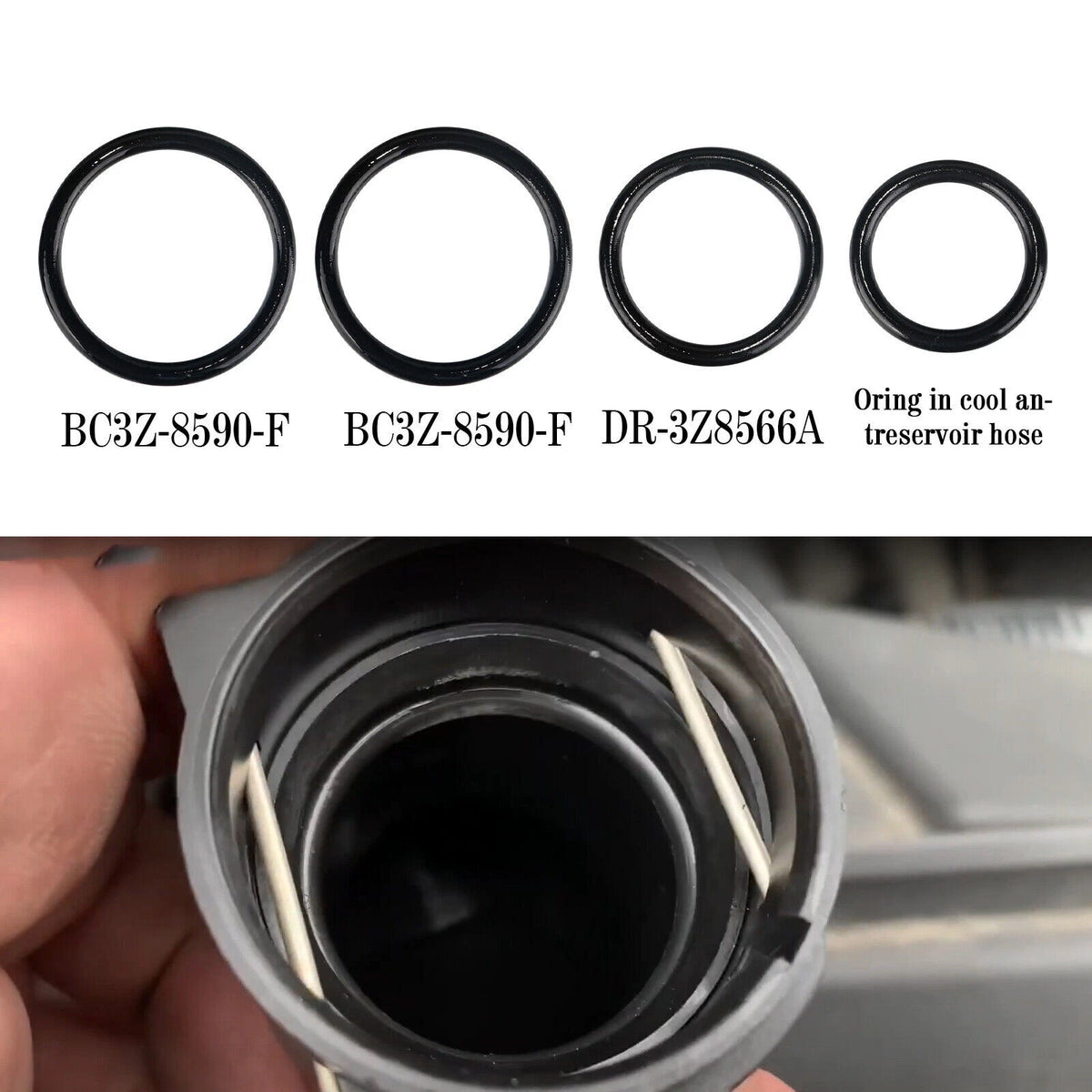 Set of 4 Coolant Hose O-Rings for Ford F-150, Mustang (2011–2018) RTS1073