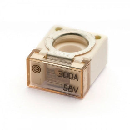 2X Cube 300 Amp Fuses for Flosser (Replaces ZCASE CBBF Type)