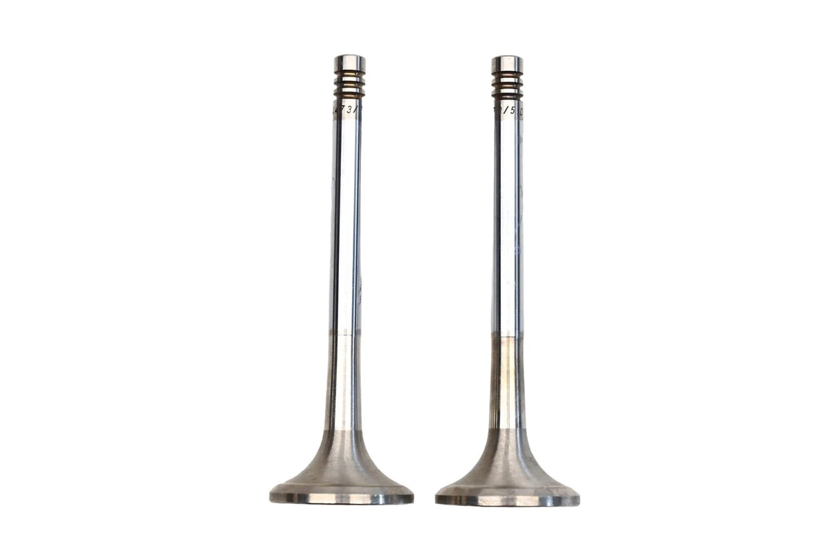 2X Exhaust Valve for Saab (021-1896, 4473)