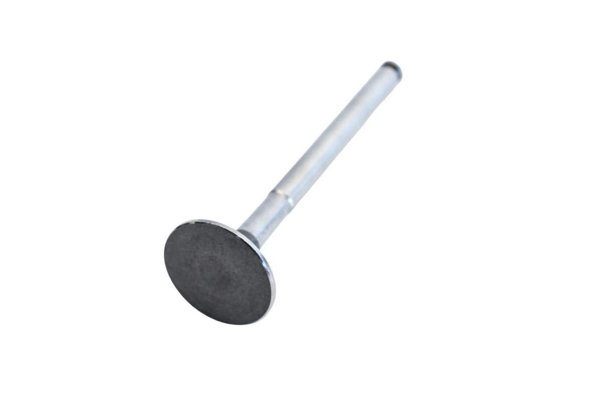 Exhaust Valve for Vera (NOS)