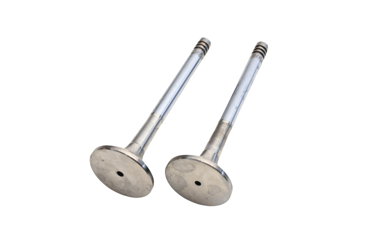 2X Exhaust Valve for Saab (021-1896, 4473)