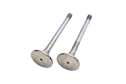 2X Exhaust Valve for Saab (021-1896, 4473)