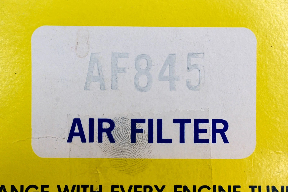 Hastings AF845 Air Filter for