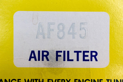 Hastings AF845 Air Filter for