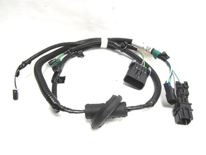 RH Door Wire Harness for International (6134670C91)