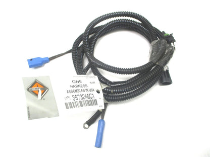 OEM Electrical Wire Harness for International Cab Skirt (3573245C1)