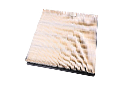 Air Filter Assembly for Ford (E9SZ-9601-A, FA-1061)