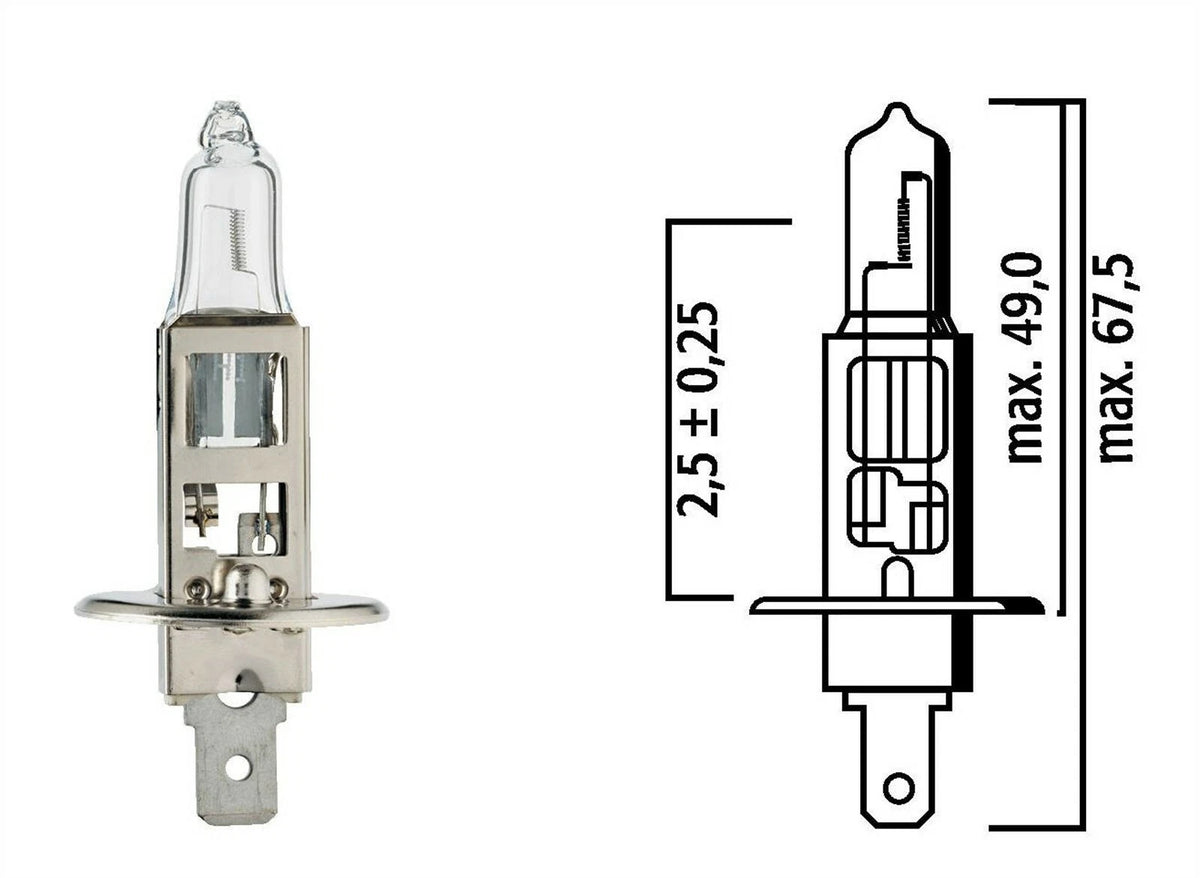 H1 Halogen Bulb 24V/70W for Flosser 3024 (Made in Germany)