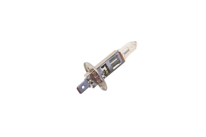Bulb Assembly for Ford (CV6Z-13N021-A)