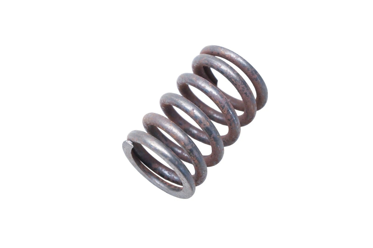 OEM Engine Valve Spring for Ford (DOOZ-6513-B)