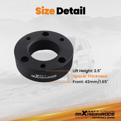 2.5" Front Suspension Leveling Lift Kit for Ford F150 2WD 4WD (2004–2024)