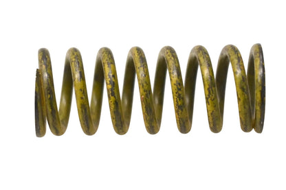 Valve Spring for Aftermarket (1944902)