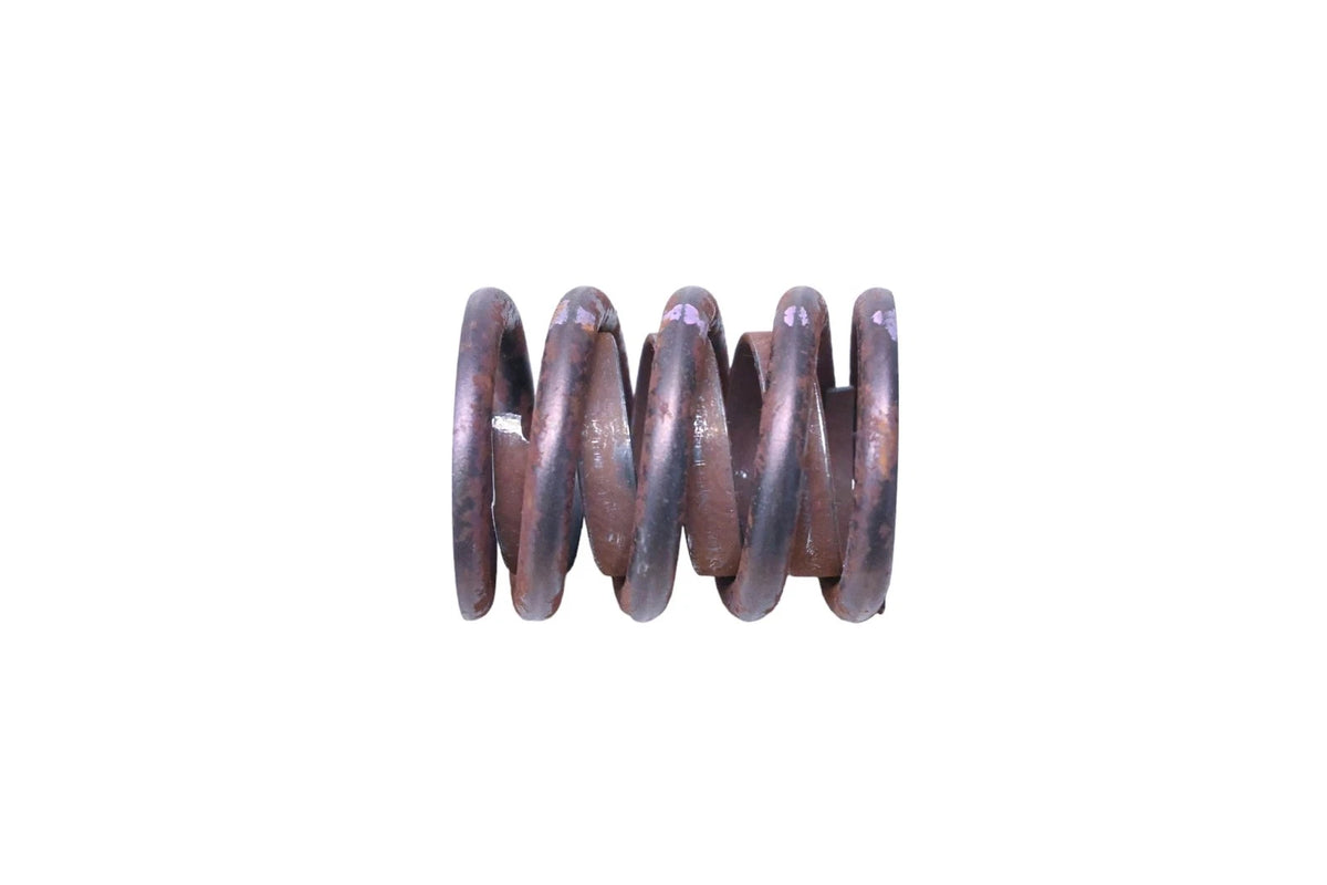 OEM Valve Spring for Ford (F3ZZ-6513-A)