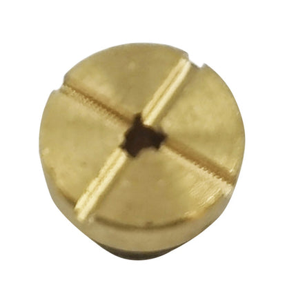 Radiator Expansion Cooling Bottle Tank Screw for BMW (17111712788)