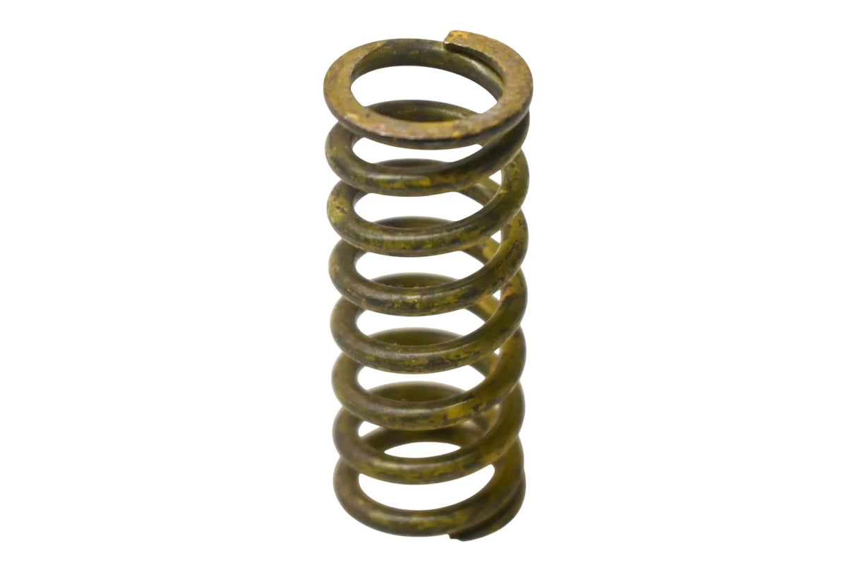 Valve Spring for Aftermarket (1944902)