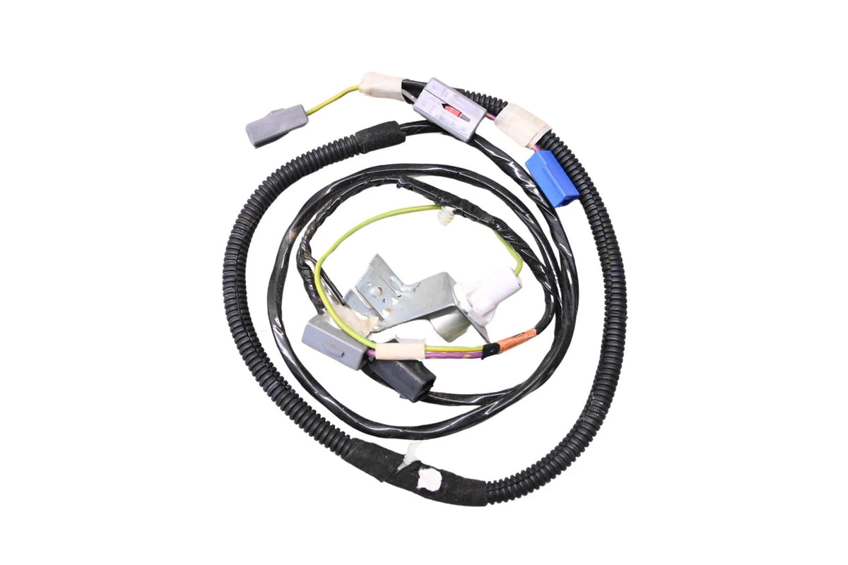 Trunk Lamp Wiring Assembly for Ford (E43Z-19B516-A)