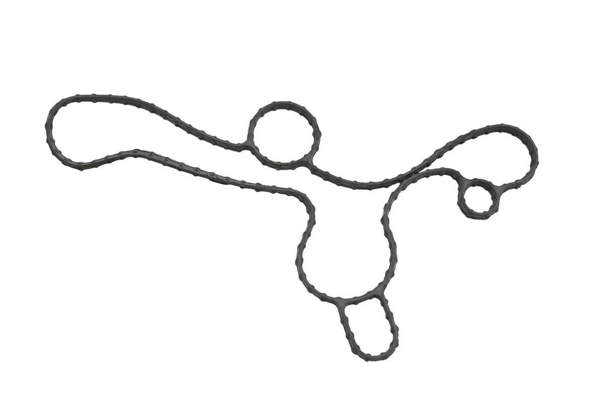 Water Pump Gasket for Ford (BR3Z-8507-L)