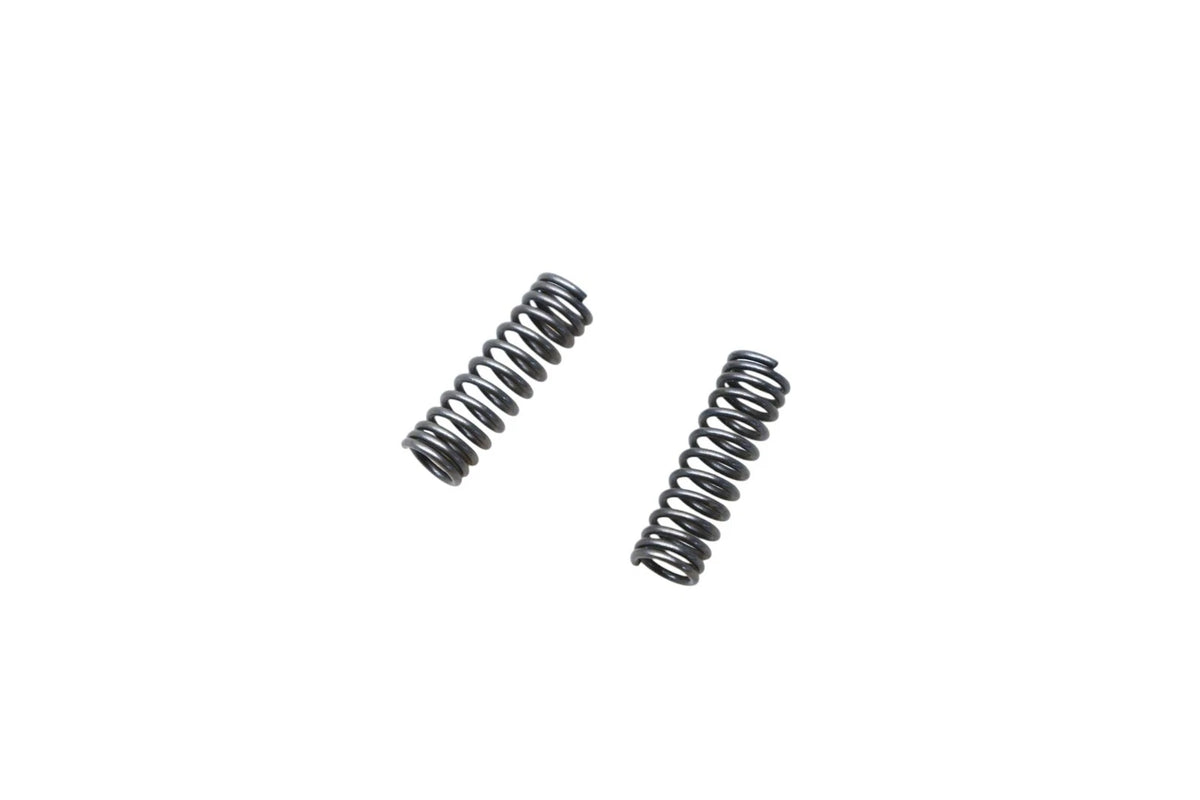 Set of 2 OEM Springs for Ford (F7TZ-7A480-B, F1TZ-7A480-B)