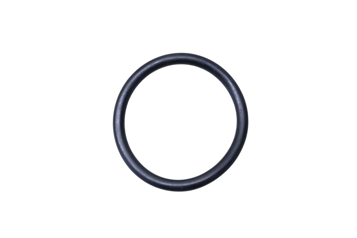 Engine Coolant Thermostat Housing Gasket for Ford (W707299-S300)