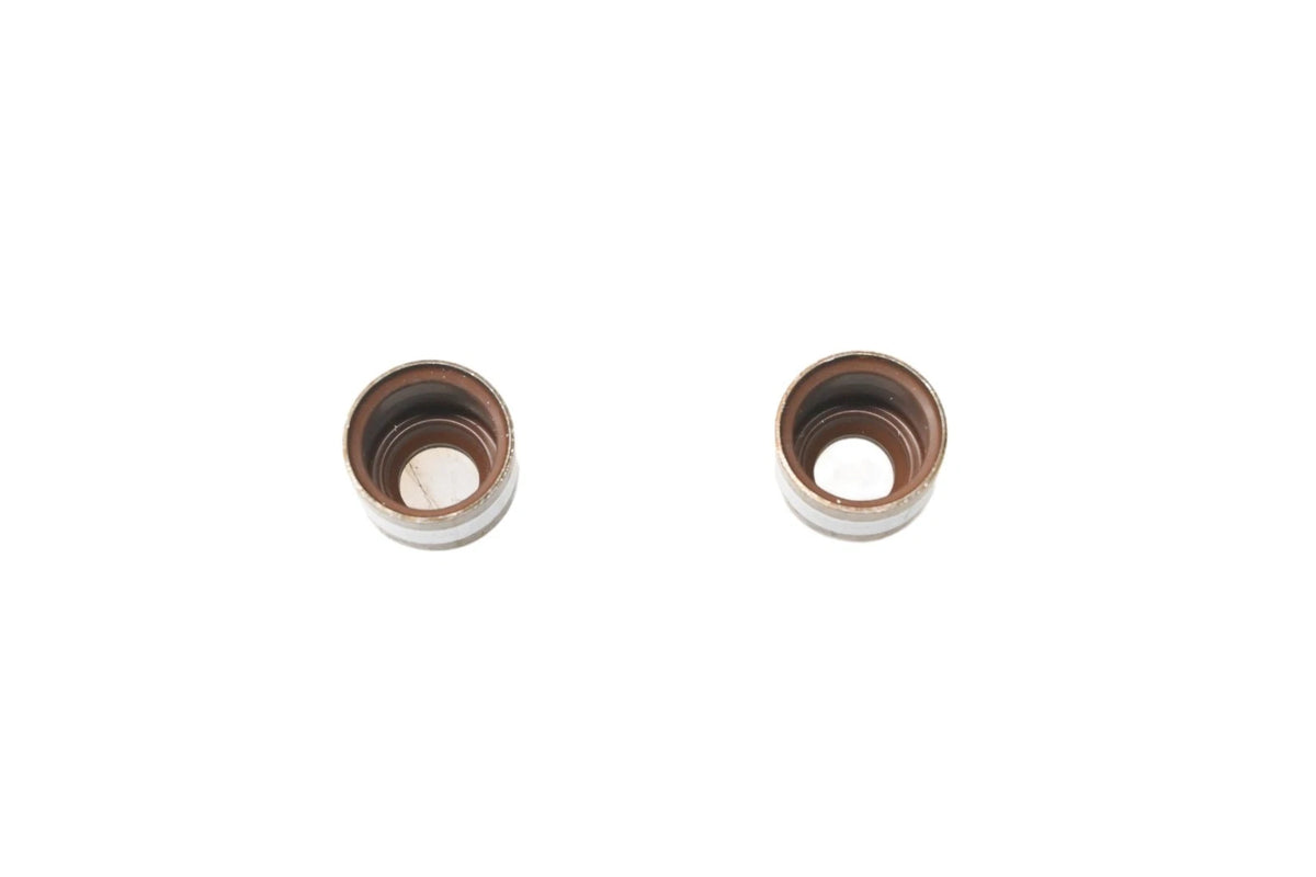 2X Valve Stem Seals for Ford (E9SZ-6571-B)