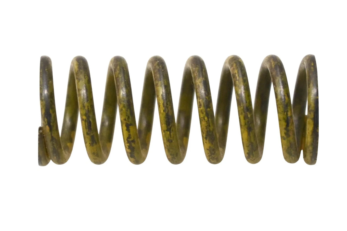 Valve Spring for Aftermarket (1944902)