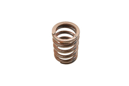 OEM Engine Valve Spring for Ford (C5TZ-6513-A)