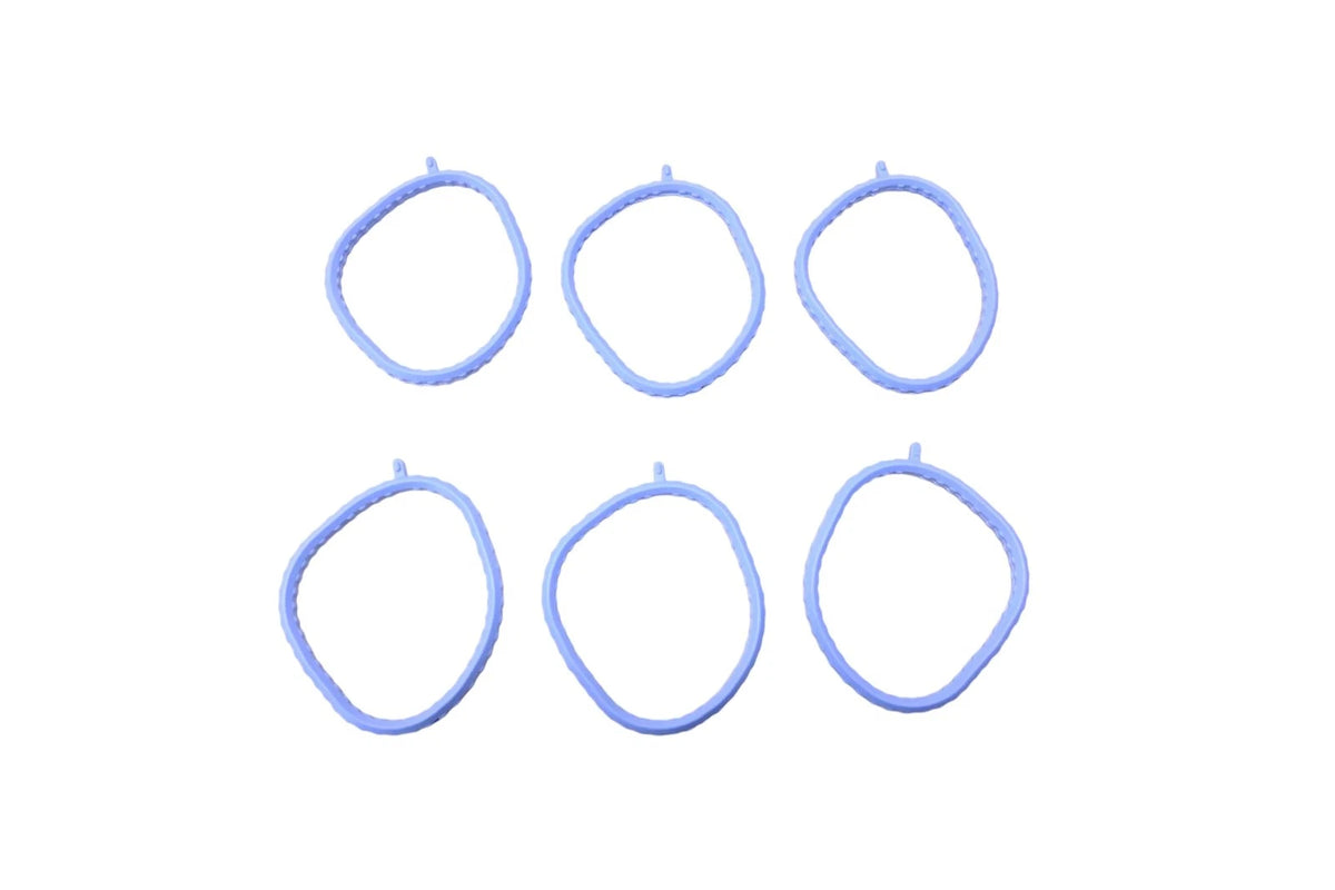 Set of 6 Intake Manifold Gaskets for Ford (XF2Z-9H486-AA)