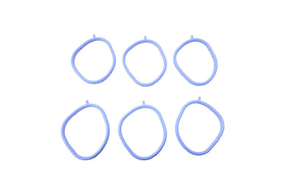 Set of 6 Intake Manifold Gaskets for Ford (XF2Z-9H486-AA)