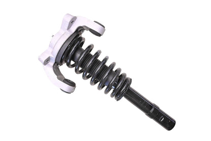 FCS1335532L Front Left Suspension Strut & Coil Spring Assembly for