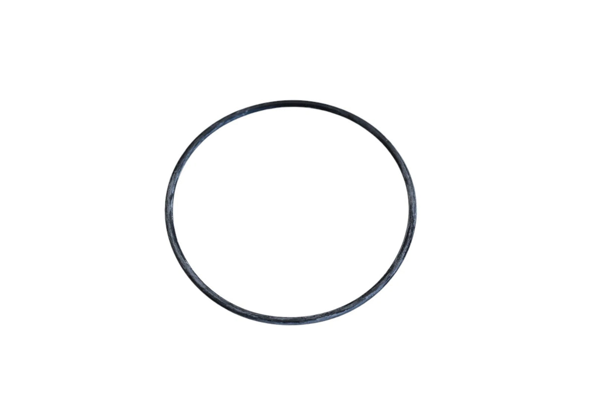 Thermostat Seal for Beck/Arnley (039-0025)