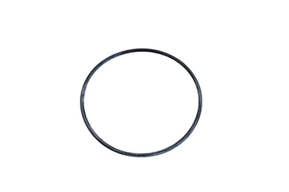 Thermostat Seal for Beck/Arnley (039-0025)