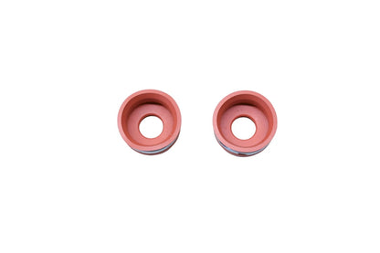 2X Valve Seals for Ford (FOTZ-6571-A)