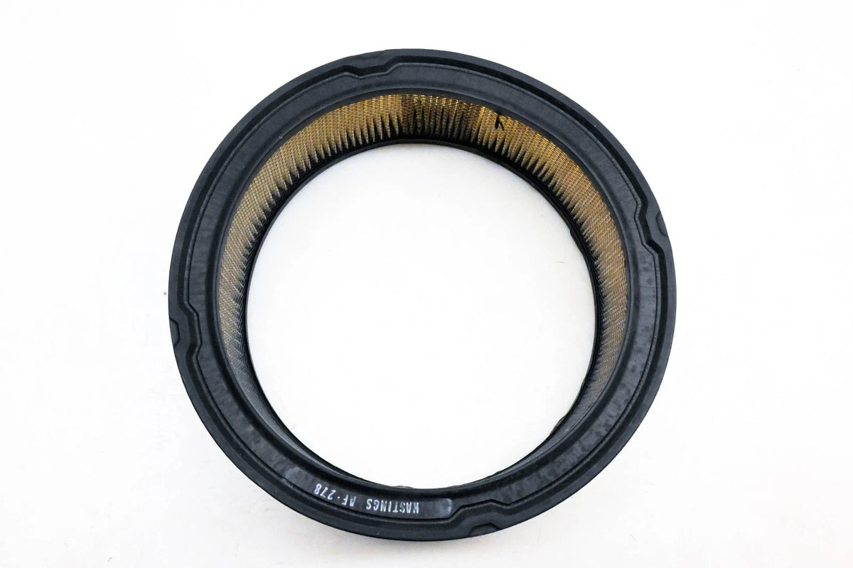 Hastings AF278 Air Filter for