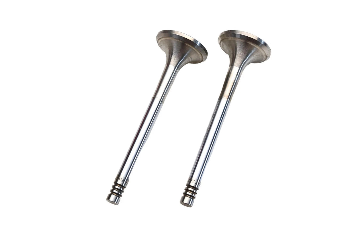 2X Exhaust Valve for Saab (021-1896, 4473)